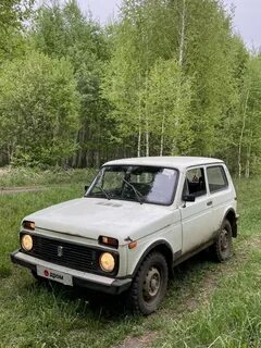 Нива чита