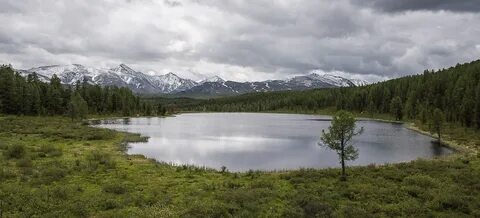 Алтайская 71 г