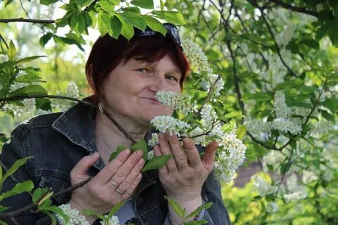 Ольги захаровой