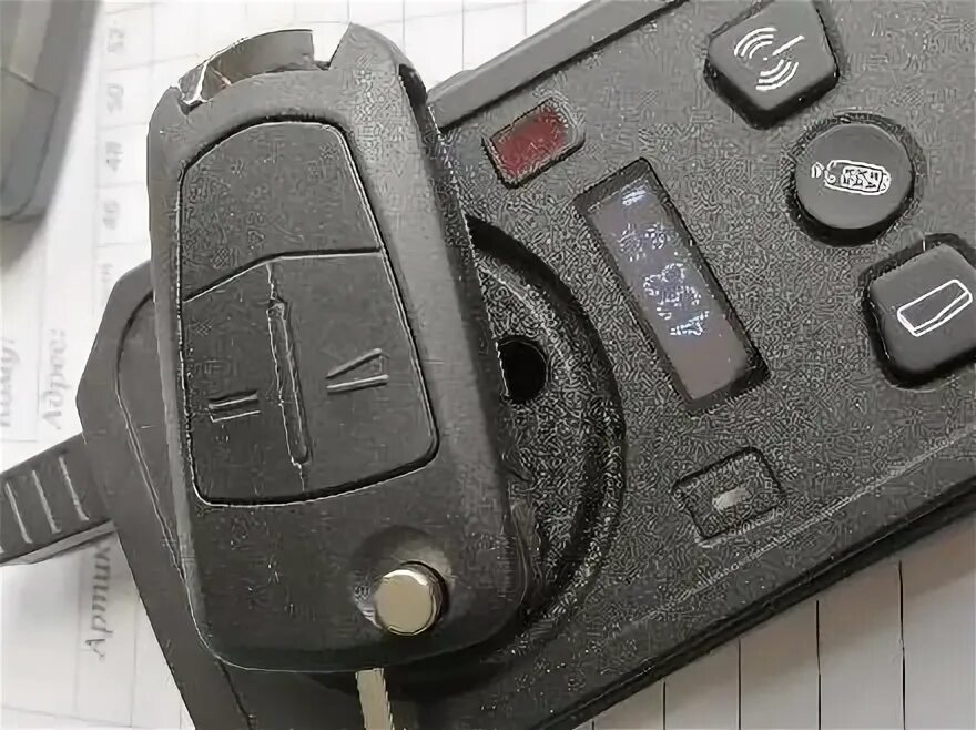 чип гомель. Adact лого. гомель проспект победы.