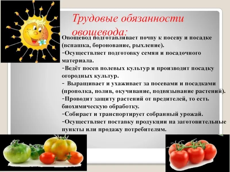 Какое практическое значение имеет процедура для овощевода. Трудовые обязанности овощевода. презентация на тему профессия овощевод. овощевод информация кратко. овощевод профессия для детского сада.