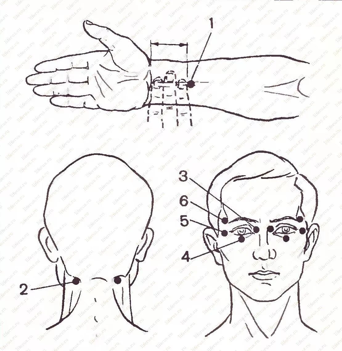 Какие точки зрения на причины и способы. Точки акупунктуры при дальнозоркости. Точки для массажа глаз для улучшения зрения. Точечный массаж для улучшения зрения. Точки акупунктуры для улучшения зрения.