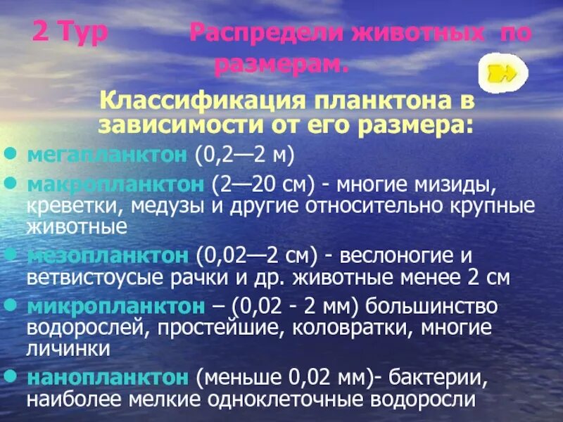 Какое количество планктона в кг. Планктон классификация. Планктон систематика. Планктон размер. Размер одного планктона.