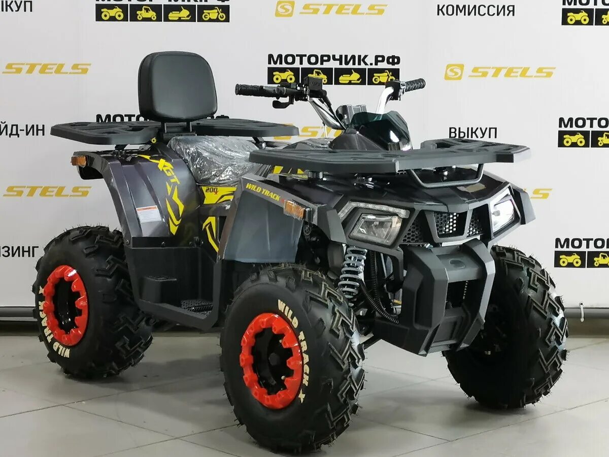 Квадроцикл wild x. Motoland wild track 200 x. мотоленд 200 вайлд трак x. motoland 200 wild track x 2025. мотоленд 200 вайлд трак.
