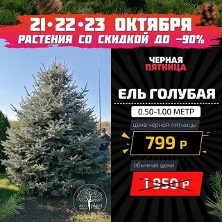 Питомник экоплант в спб адрес