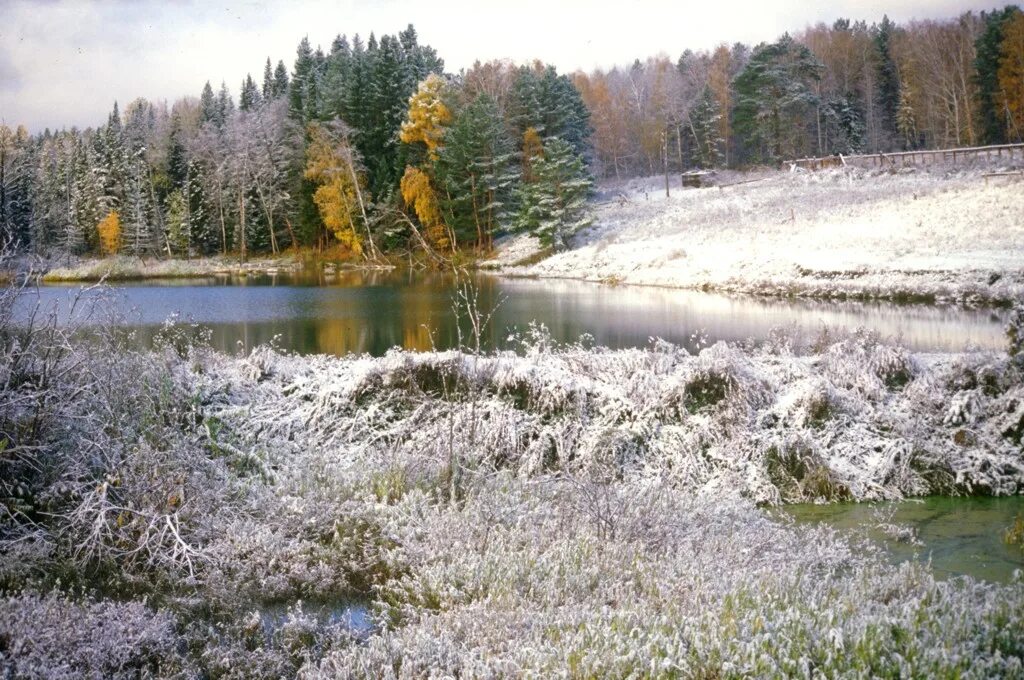 Галанино казачинский район красноярский край. Казачинское Красноярский край. Галанино Красноярский край. Казачинский район Красноярского края. Сайт Казачинского района Красноярского края.