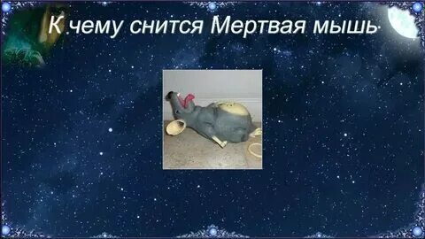 Мышку поймали сон