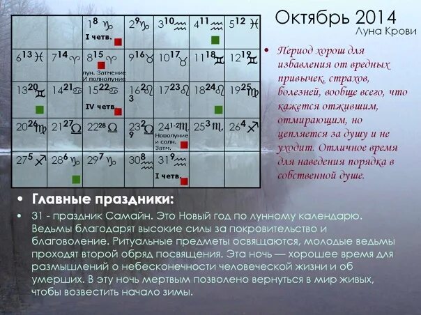 Магический календарь 2024. Магический календарь. Календарь магии. Календарь магических действий на ноябрь 2022 Шувани. Календарь магия купить.