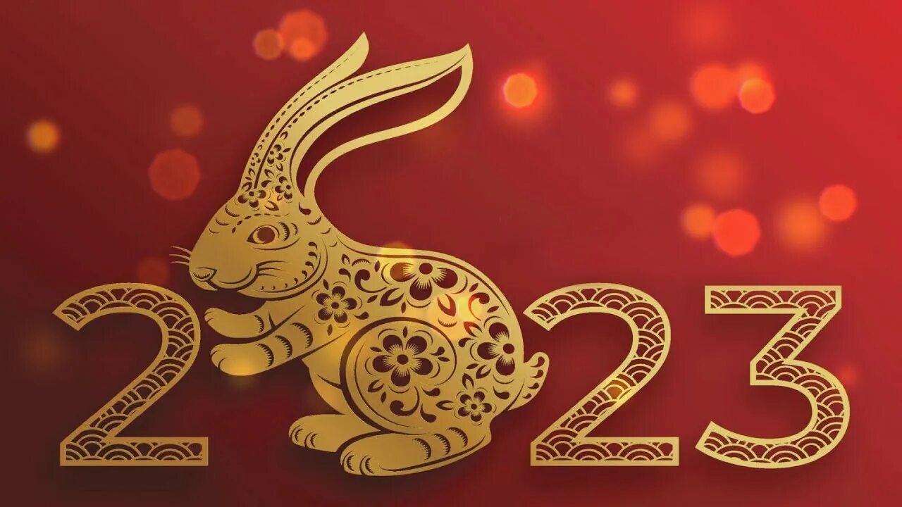 Lunar new year 2025