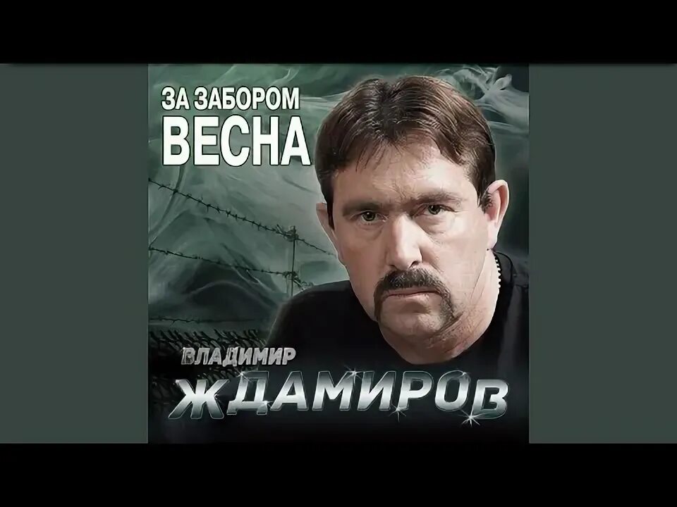 Ждамиров песня не воля