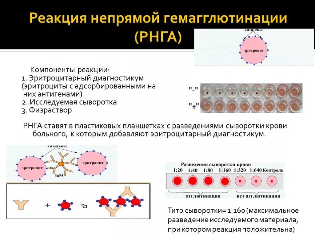 Гемагглютинация это