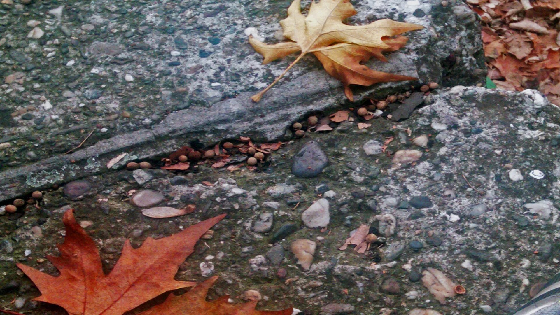 Left the ground