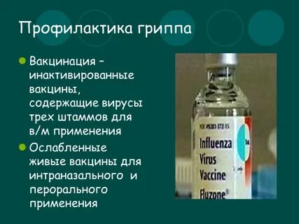 Вакцина содержит