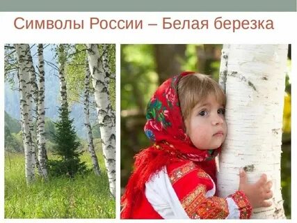 Белая береза символ
