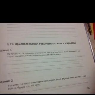Приведите три примера животных