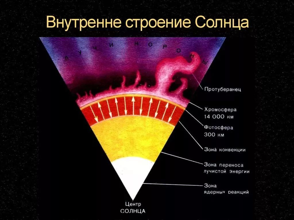 Какого строение солнца. Внутренне строение солнца ядро. внутреннее строение солнца конвективная зона. строение солнца схема слои. внутреннее строение солнца схема.