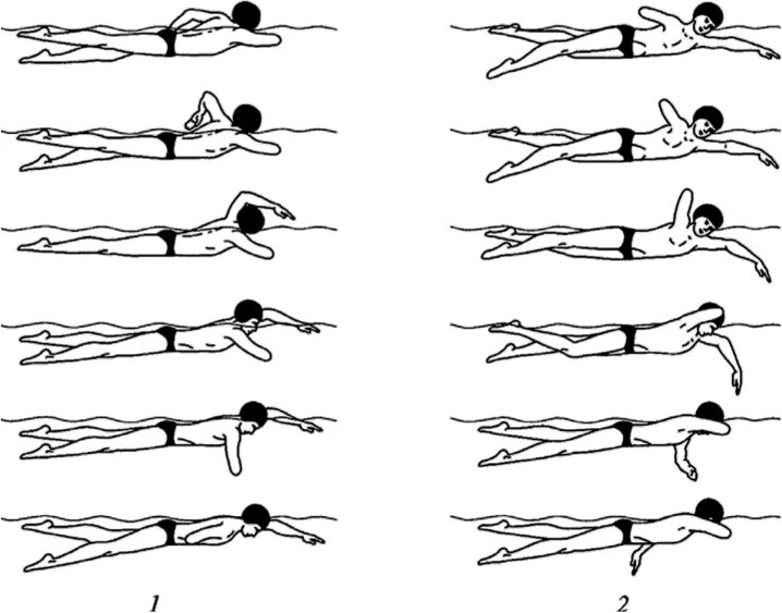 Плавание кролем пошагово. Кроль техника плавания Кроль. Кроль техника плавания схема. Стиль плавания Кроль на груди. Техника плавания кролем на груди.