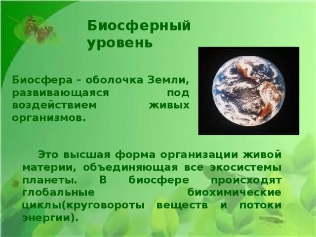 Биосферный уровень общая характеристика. Биосферный уровень организации жизни. Биосферный уровень организации живой материи. Биосферный уровень организации жизни рисунок. Биосферный уровень организации живого.