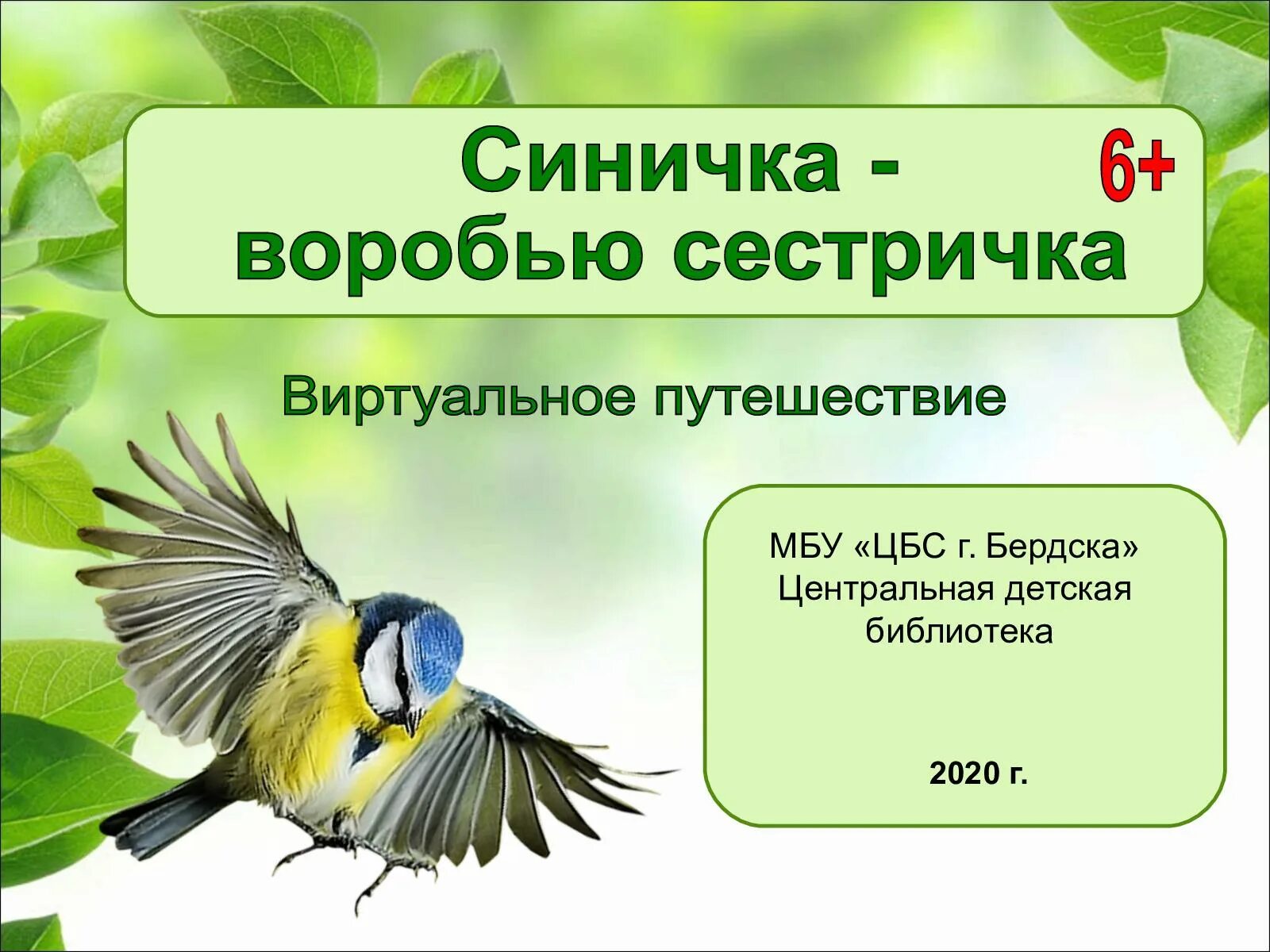 День птиц. Презентация птицы 1 класс. Международный день птиц. Птицы 1 класс окружающий мир презентация. Презентация день птиц 2 класс