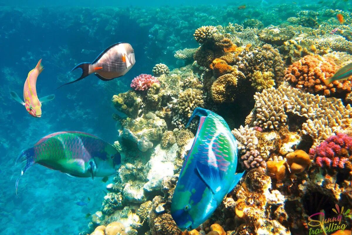 Twitter Digital literacy, Ocean, Adventure