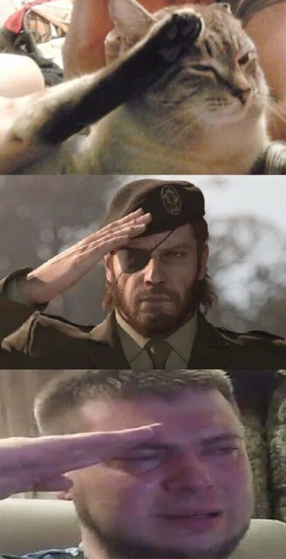 Metal gear solid биг босс. Отдать честь смешные картинки. Пресс f to pay respects. Press f откуда. Отдать честь.