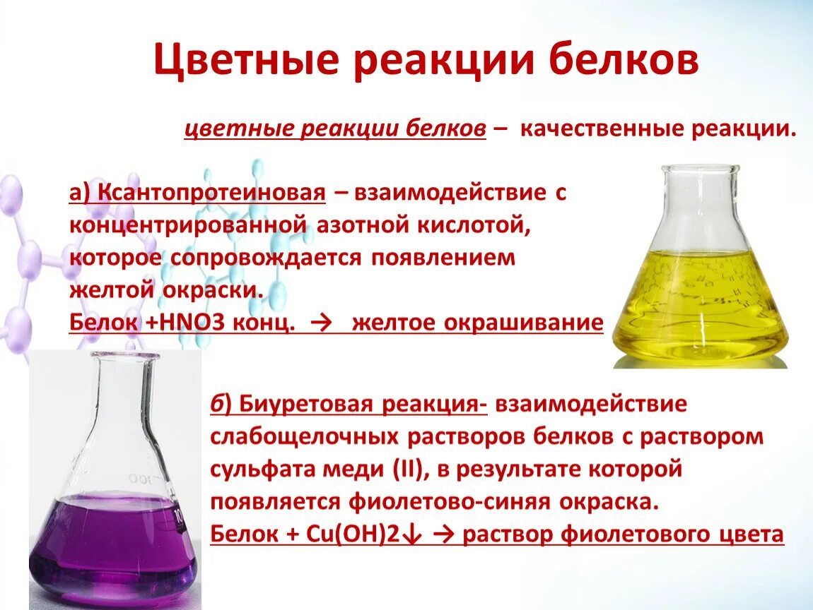Белки с азотной кислотой. Качественные реакции на белки химия. Качественные реакции на белки цветные реакции. Цветные реакции белков реакции. Цветные качественные реакции на белки.