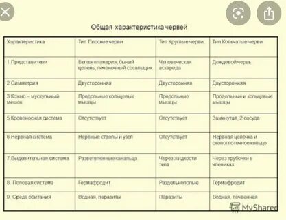 Грудная клетка плоских круглых кольчатых червей