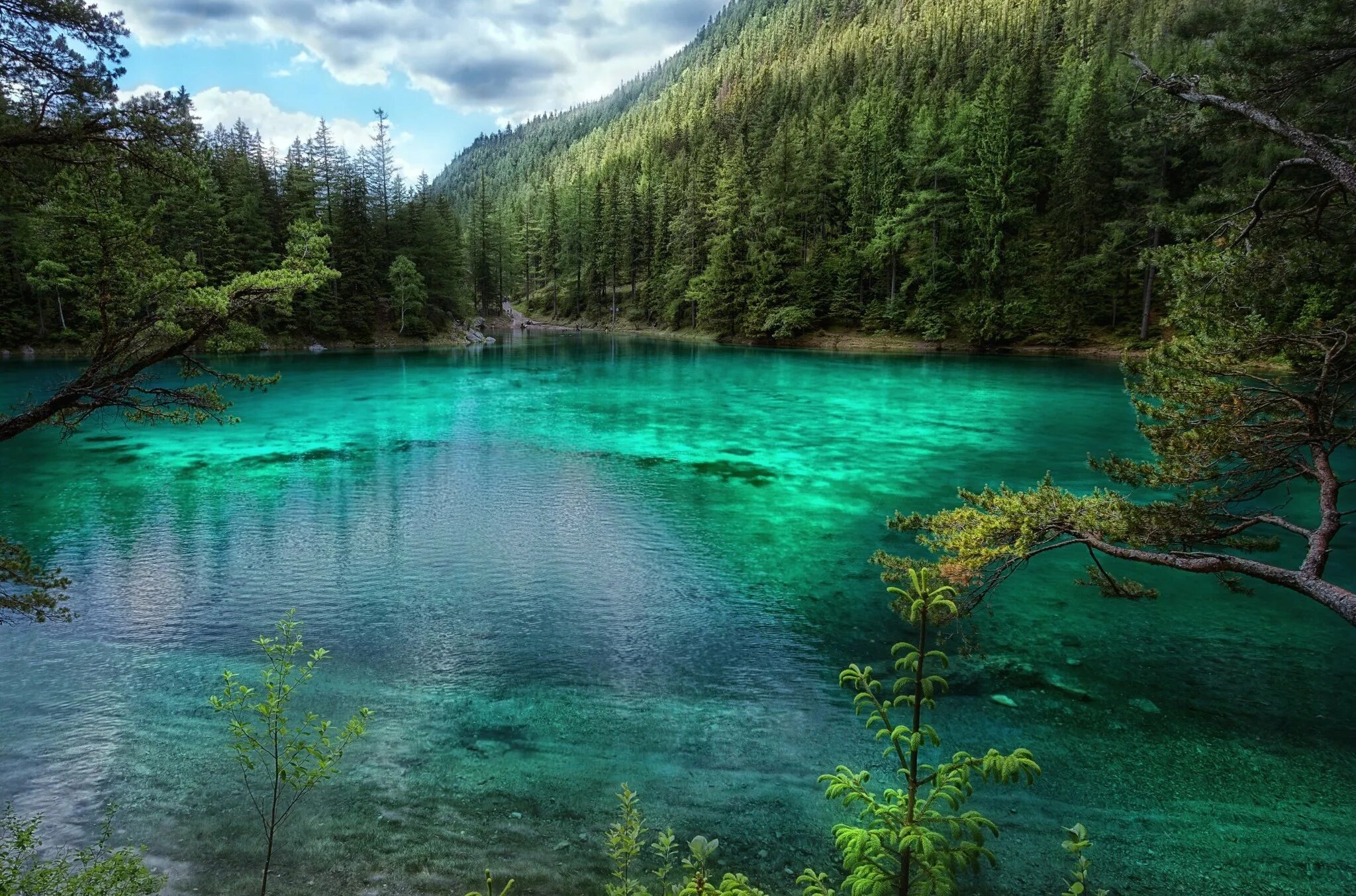 Самая чистая природа