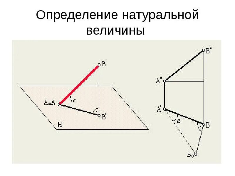 Что такое натуральная величина. Что такое натуральная величина. Натуральная величина треугольника. Натуральная величина отрезка. Что такое натуральная величина.