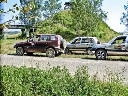 Такси черноголовка