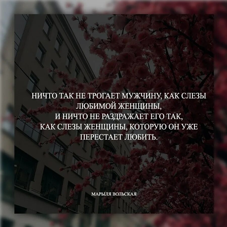 Трогает до слез