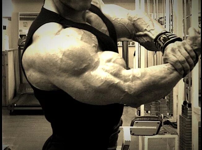 Валерий лактионов синтол. Самый большой бицепс мустафа исмаил. Натуральный бицепс. Мустафа исмаил бодибилдер. Мустафа исмаил.