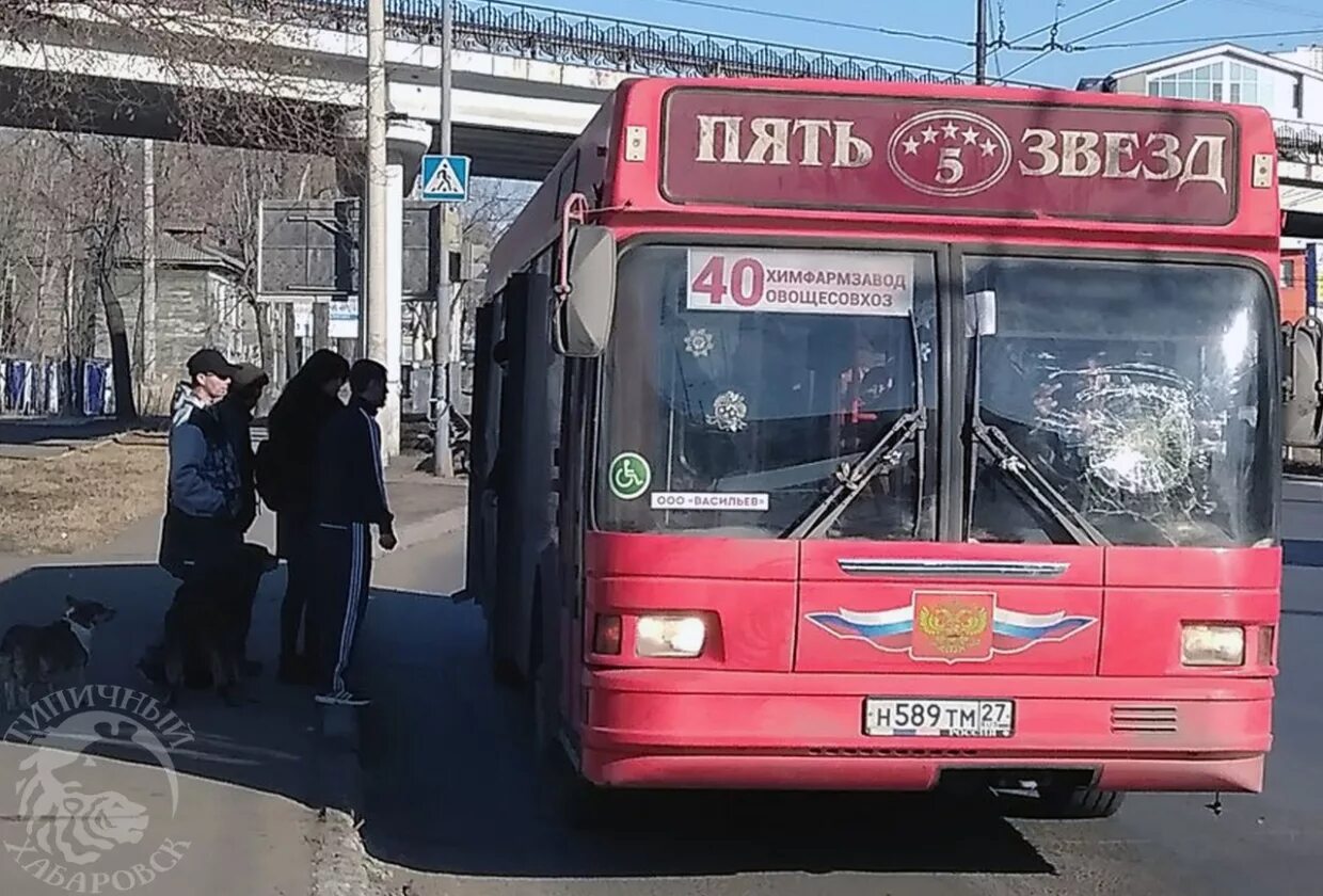 Отследит 5 автобус. Автобусы 5 звезд Хабаровск. Автобусы пять звезд Комсомольск на Амуре. Автобус 5 звезд. 5 Звездочный автобус Хабаровск.