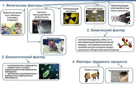 Биологические психофизиологические физические факторы