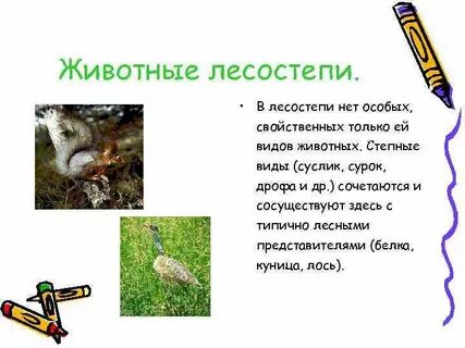 Приспособление лесостепи