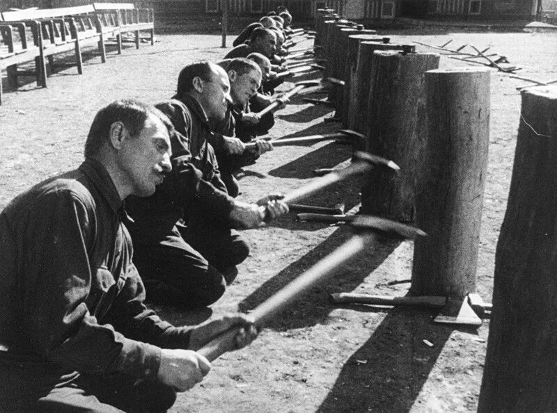 Умирающий энтузиазм. Энтузиазм: симфония донбасса. симфония донбасса дзига вертов.