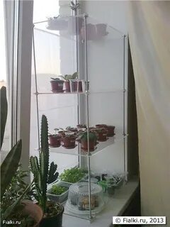 Стеклянные полки для цветов