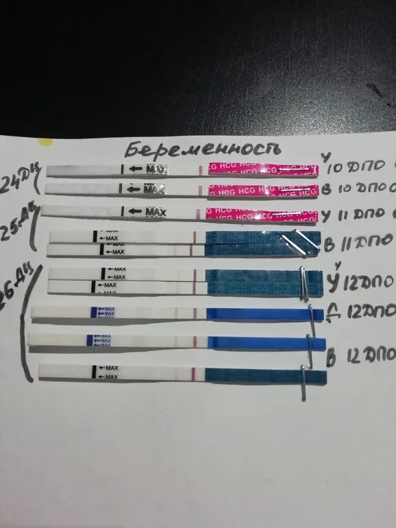 Тест 12 2023. 12 ДПО тест на беременность. 12 День после овуляции. Тест на беременность на 12 день после овуляции. Тест на 12 день задержки.