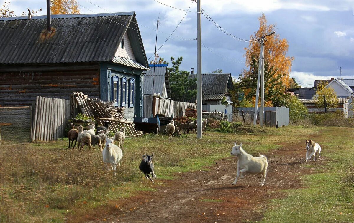 Читать про это в деревне
