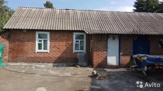 Погода в борисовке белгородской области борисовский район. Борисовка (Борисовский район). Посёлок городского типа Борисовка. Борисовка Борисовский район рынок. Борисовка городской поселок.