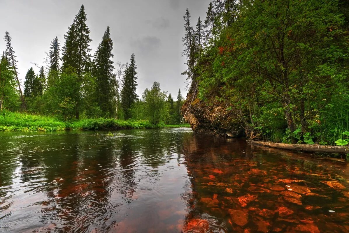 Есть ли республика коми. Природа Республики Коми Печора. Коми природа Сыктывкар. Река Седью Республика Коми. Республика Коми озеро Печора.