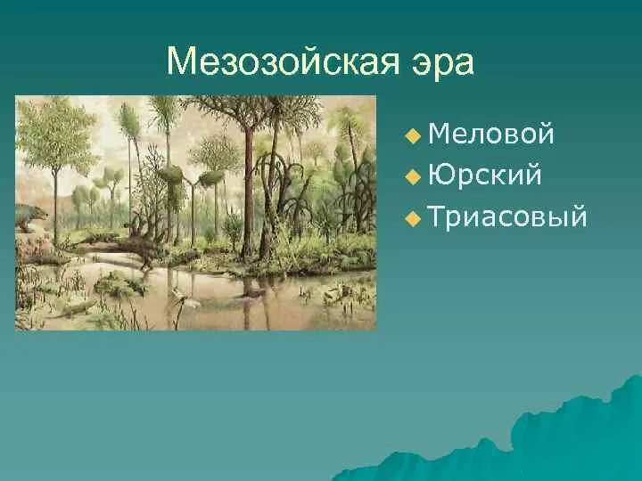 Мезозойская эра изменения. Триасовый Юрский и меловой периоды. Мезозойская Эра Триасовый Юрский. Мезозойская Эра Юрский период растения. Триасовый период мезозойской эры таблица.