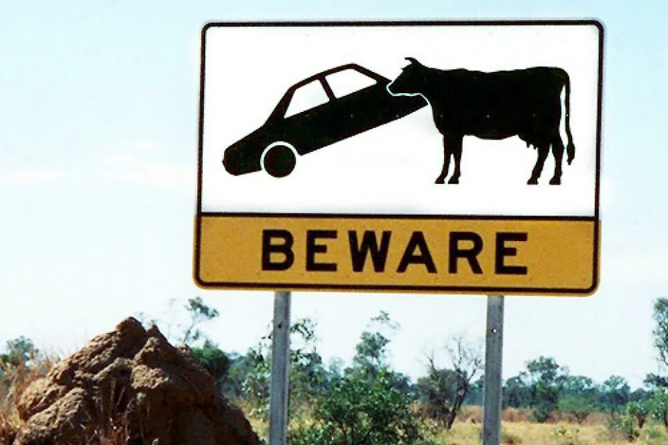 Дорожные знаки путешествие. Funny Road signs. Uncanny Road signs. Road signs USA Cow. Travelling signs.