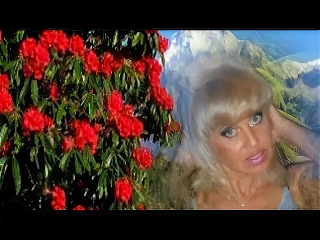Пала звезда песня