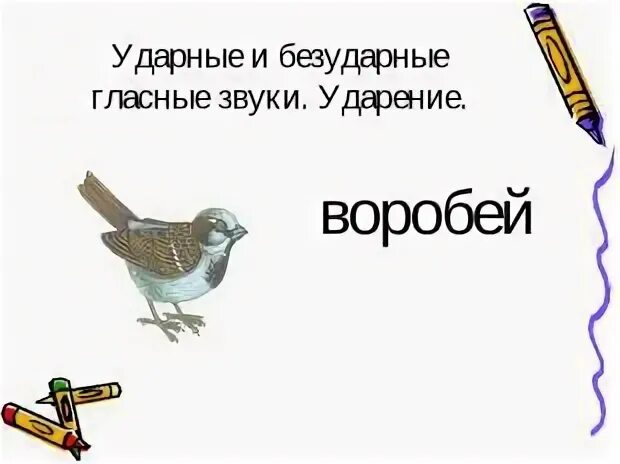 Воробей ударение
