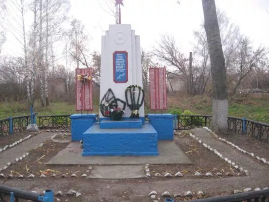 Сухая терешка ульяновская. Сухая терешка ульяновская