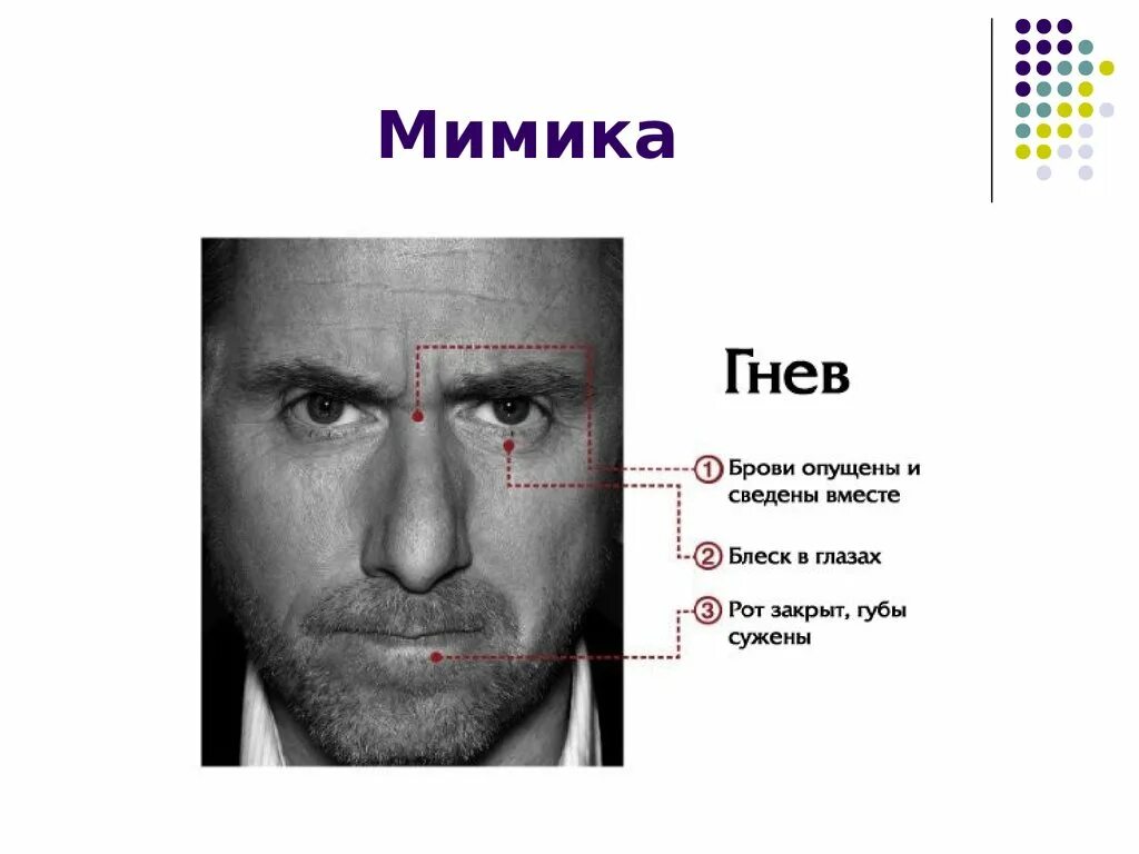 Мимика ревность прохождение. Эмоция гнева мимика. злость выражение лица. злость мимика. гнев это чувство или эмоция.