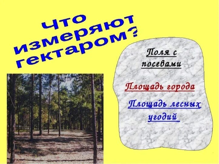 500 гектаров в арах