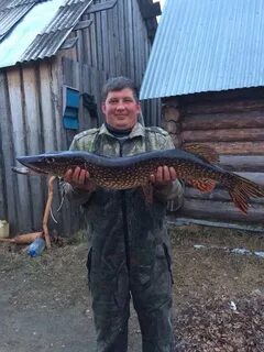 Погода в черную пермский