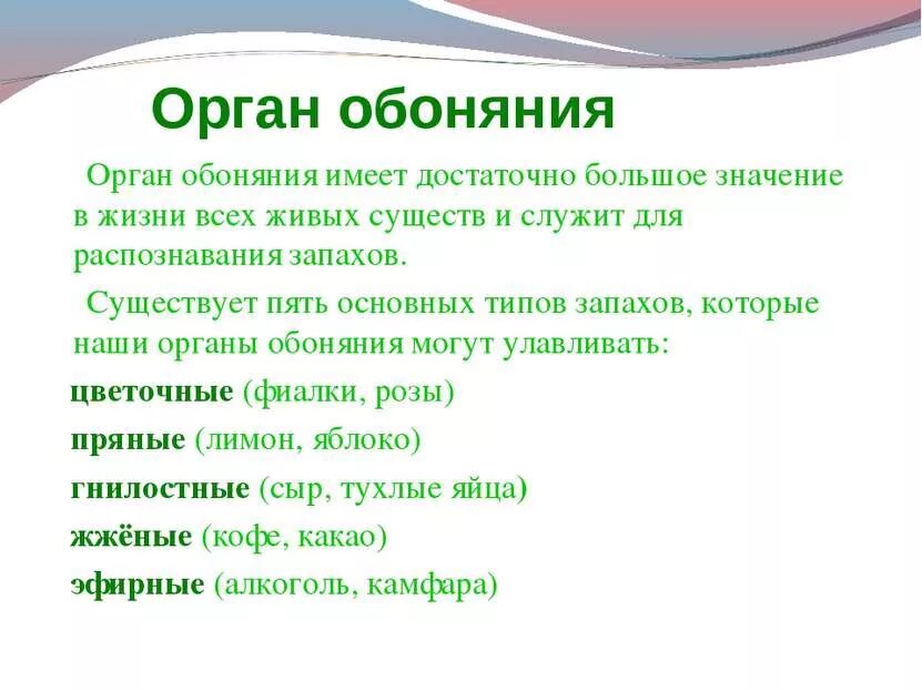 Если нет обоняния что. Защита органа обоняния. правила сохранения обоняния. значение обоняния. нос орган обоняния 3 класс.